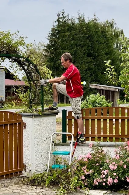 Ein Mann schneidet Pflanzen an einem Gartenbogen