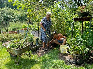 Zwei Personen arbeiten gemeinsam in einem Garten