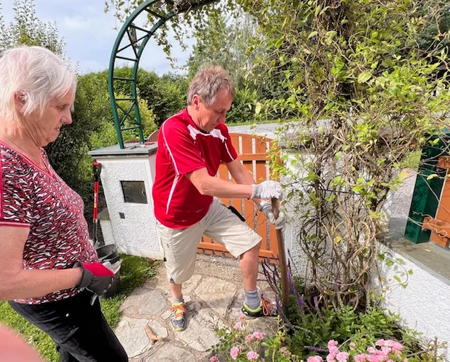 Zwei Personen schneiden gemeinsam Pflanzen im Garten