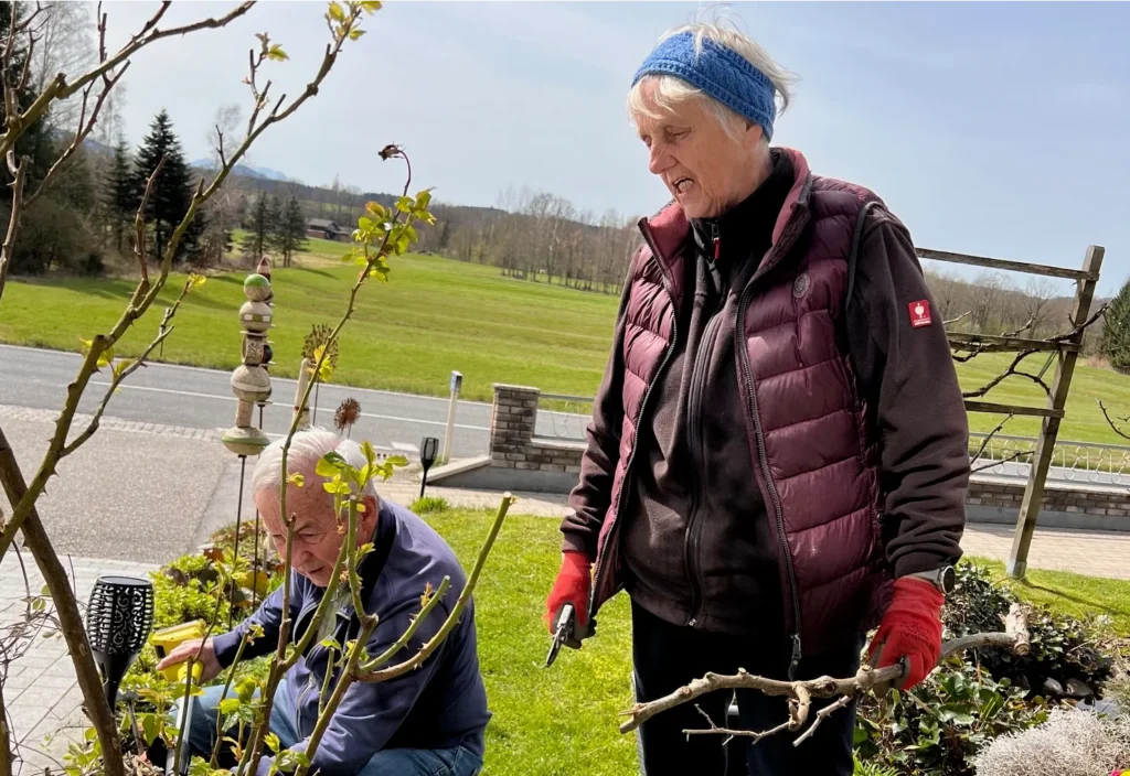 Zwei Personen schneiden gemeinsam Rosen im Garten