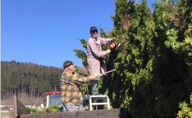 Zwei Männer schneiden gemeinsam eine hohe Hecke